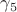 $\gamma_5$