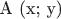 A (x; y)