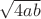$\sqrt{4ab}$
