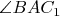 $\angle BA{C_1}$