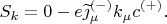 $$S_k=0-e\widetilde{\jmath}^{(-)}_\mu k_\mu c^{(+)}.$$