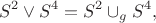 $$ S^{2}\vee S^{4}=S^{2}\cup_{g}S^{4},$$