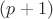 $ (p+1) $