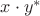 $x\cdot y^{*}$