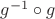 $g^{-1}\circ g$