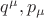 $q^{\mu}, p_{\mu}$