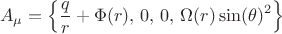 $$A_{\mu} = \left\{ \frac{q}{r} + \Phi(r), \, 0, \, 0, \, \Omega(r) \sin(\theta)^2 \right\}$$
