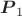$\boldsymbol{P}_1$