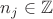$n_j \in \mathbb Z$