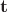 $\bold{t}$
