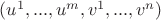 $(u^1, ..., u^{m}, v^1, ..., v^{n})$