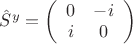 $\hat S^y=\left(\begin{array}{cc}0&-i\\i&0\end{array}\right)$