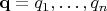 $\mathbf{q}=q_1,\dots,q_n$