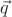 $ \vec{q} $