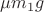 $\mu m_1 g$