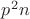 $p^2 n$
