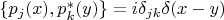 $\{p_j(x),p_k^*(y)\}=i\delta_{jk}\delta(x-y)$