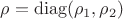 $\rho = \mathrm{diag}(\rho_1,\rho_2)$ $\rho = \mathrm{diag}(\rho_1,\rho_2)$
