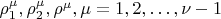 $ \rho^\mu_1,  \rho^\mu_2, \rho^\mu, \mu = 1, 2, &hellip;, \nu - 1$