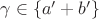 $\gamma \in \{a'+b'\}$