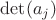 $\det (a_j)$
