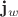 $\mathbf{j}_w$