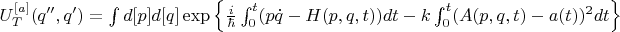 $U^{[a]}_{T}(q'',q')=\int{d[p]d[q]\exp\left\{\frac{i}{\hbar} \int_{0}^{t}(p\dot{q}-H(p,q,t) )dt - k\int_{0}^{t}(A(p,q,t)-a(t))^{2}dt \right\}}$