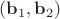 $(\mathbf b_1, \mathbf b_2)$