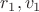$r_1, v_1$