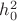 $h^2_0$