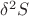 $\delta^2 S$