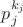 $p_j^{k_j}$