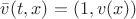 $\bar v(t,x)=(1,v(x))$