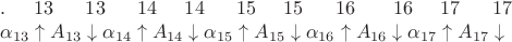 $.\;\;\;\;\;13\;\;\;\;\;\;13\;\;\;\;\;\;14\;\;\;\;\;14\;\;\;\;\;\;15\;\;\;\;\;15\;\;\;\;\;\;16\;\;\;\;\;\;\;16\;\;\;\;\;17\;\;\;\;\;\;17$

$\alpha_{13} \uparrow A_{13} \downarrow \alpha_{14} \uparrow A_{14} \downarrow \alpha_{15} \uparrow A_{15} \downarrow \alpha_{16} \uparrow A_{16} \downarrow \alpha_{17} \uparrow A_{17} \downarrow $