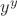 $y^y$