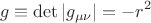 $$g\equiv \det|g_{\mu\nu}|=-r^2$$