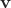 $ \mathbf{v} $