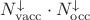 $N_\mathrm{vacc}^{\downarrow} \cdot N_\mathrm{occ}^{\downarrow}$