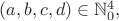$(a, b, c, d)\in \mathbb{N}_0^4,$
