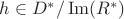 $h \in D^* / \operatorname{Im}(R^*)$