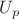 $U_{p}$