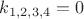 $k_{1,2,3,4}=0$