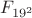 $F_{19^2}$