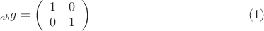 $${}_{ab}g = \left( {\begin{array}{*{20}c}   1 & 0  \\   0 & 1  \\ \end{array} } \right) \eqno (1)$$