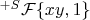 $^{+S}\mathcal{F}\{xy,1\}$
