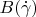 $B(\dot\gamma)$