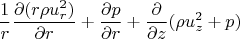 $$\frac{1}{r} \frac{\partial (r \rho u_r^2)}{\partial r}+\frac{\partial p}{\partial r}+\frac{\partial}{\partial z} (\rho u_z^2+p)$$