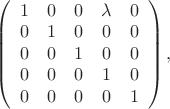 $\left(\begin{array}{ccccc}
1 & 0 & 0 & \lambda & 0 \\
0 & 1 & 0 & 0 & 0 \\
0 & 0 & 1 & 0 & 0 \\
0 & 0 & 0 & 1 & 0 \\
0 & 0 & 0 & 0 & 1 
\end{array}\right),$