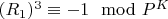 $(R_1) ^3\equiv -1\mod P^K$
