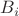 $B_{i} $